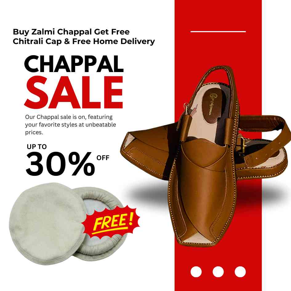Zalmi Chappal Camel color